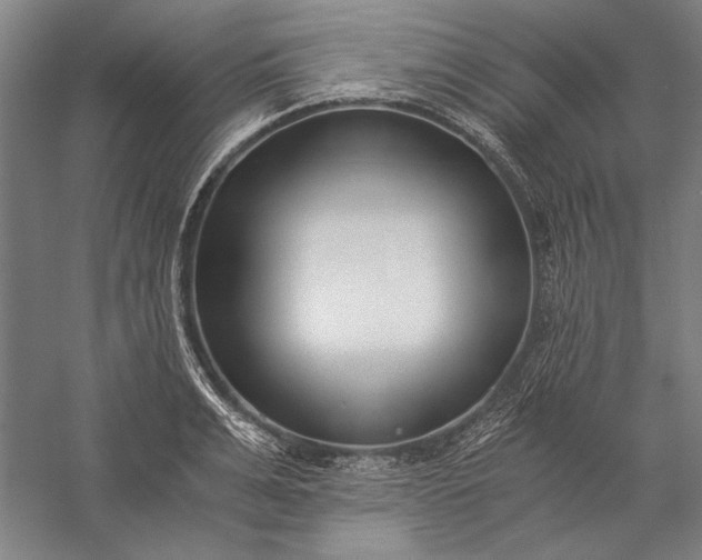 X0000056360991200509091618