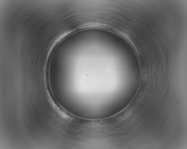 X0000056360995200509091618