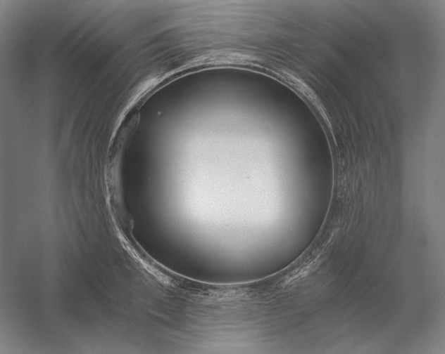 X0000056360997200509091618