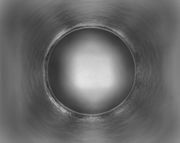 X0000056360998200509091618