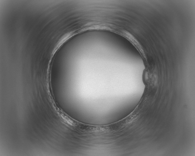 X0000056361002200509091618