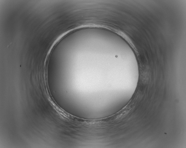 X0000056361004200509091618