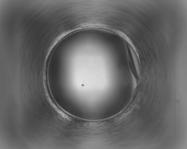 X0000056361005200509091618