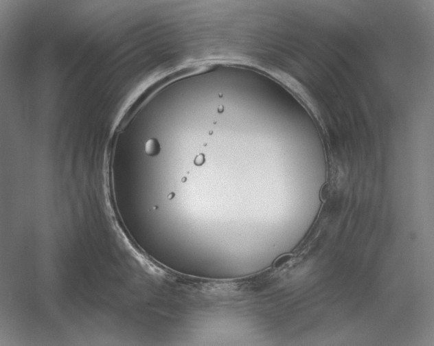 X0000056361006200509091618