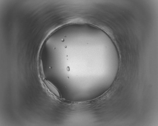 X0000056361008200509091618