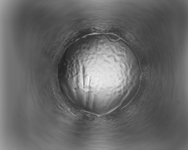 X0000056361009200509091617