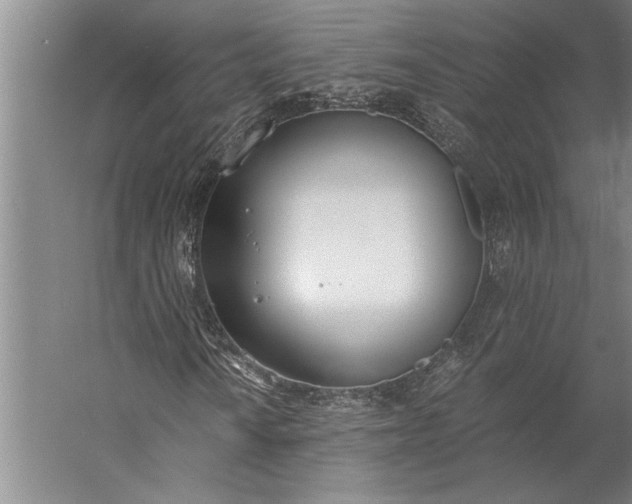 X0000056361010200509091617