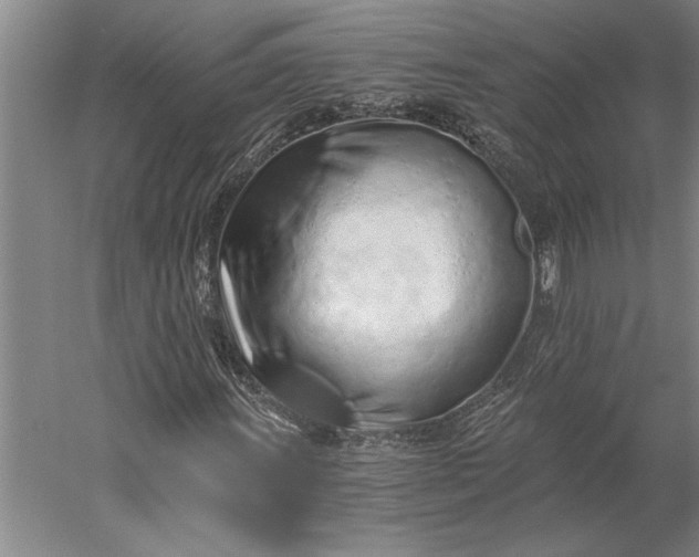 X0000056361011200509091617