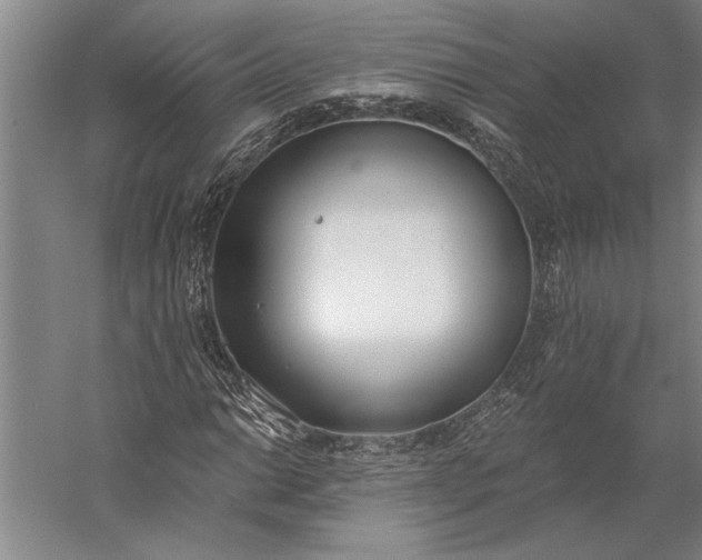 X0000056361014200509091617