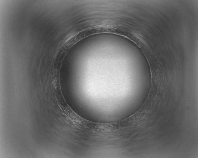 X0000056361015200509091617