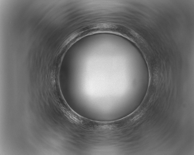 X0000056361017200509091617