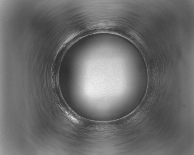 X0000056361018200509091617