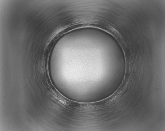 X0000056361019200509091617