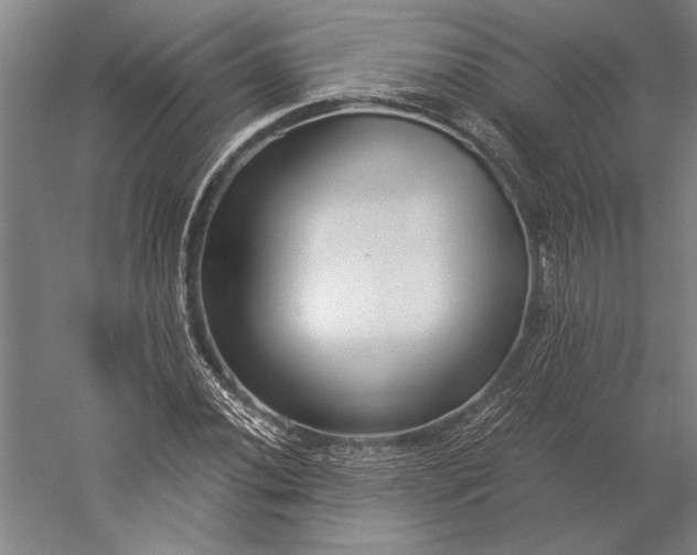 X0000056361020200509091617