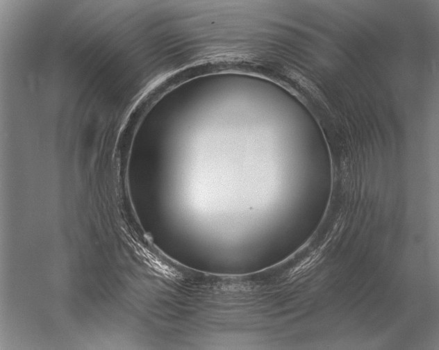 X0000056361021200509091617