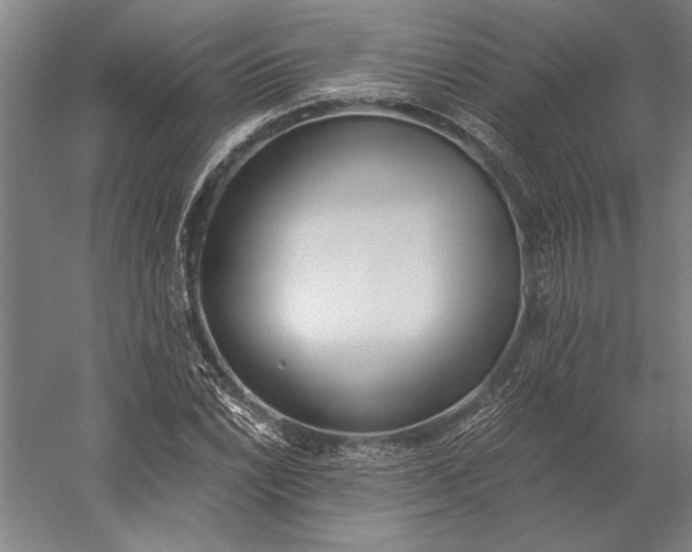 X0000056361022200509091617