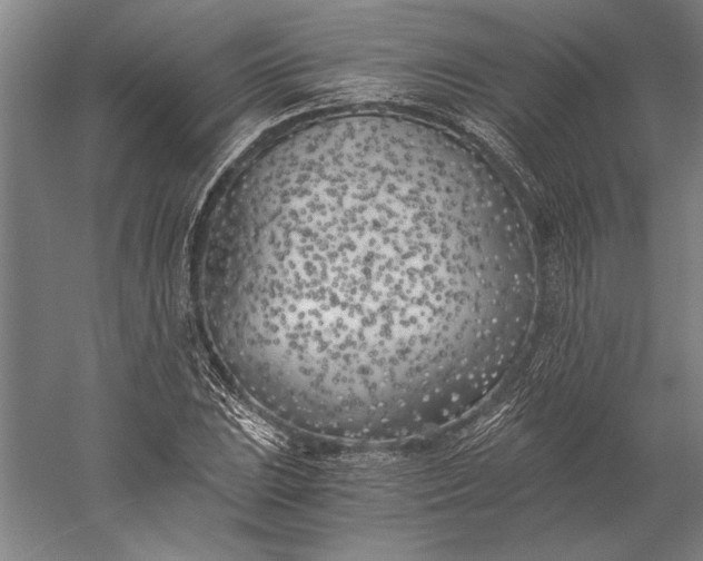 X0000056361023200509091617