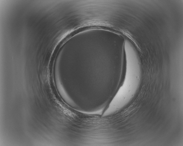 X0000056361024200509091617