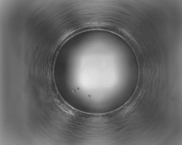 X0000056361025200509091617