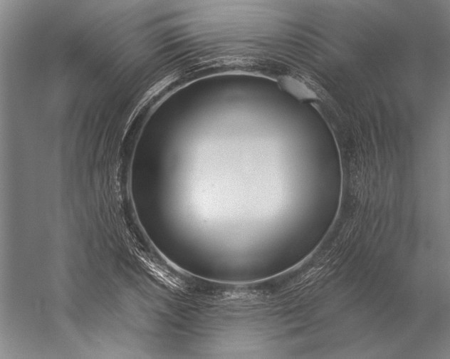 X0000056361026200509091617