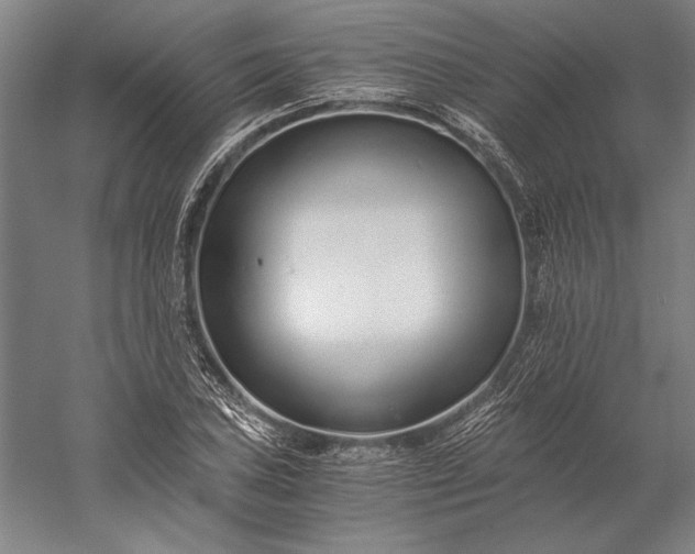 X0000056361027200509091617