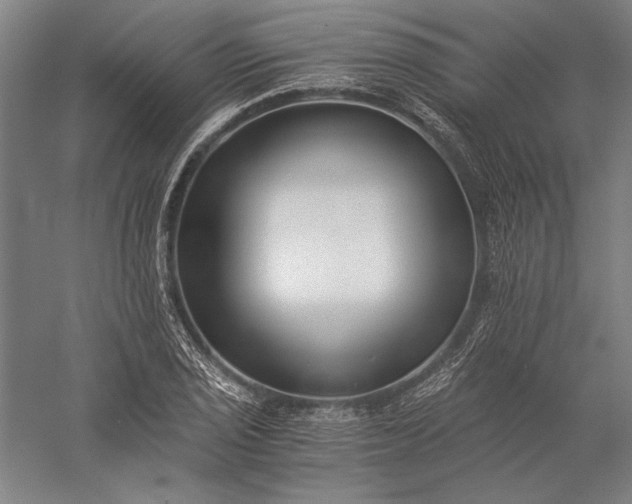 X0000056361029200509091617