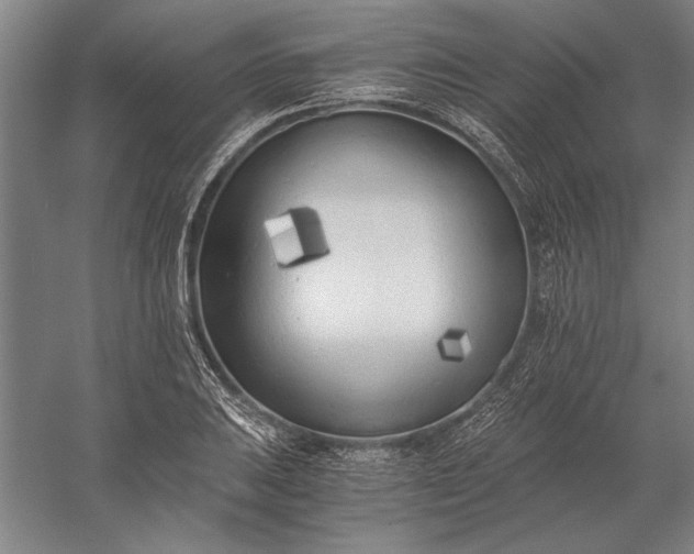 X0000056361031200509091617