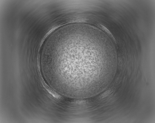 X0000056361035200509091617