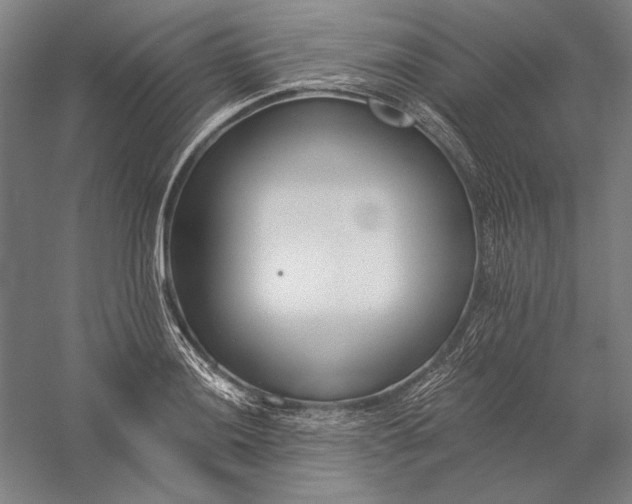 X0000056361036200509091617