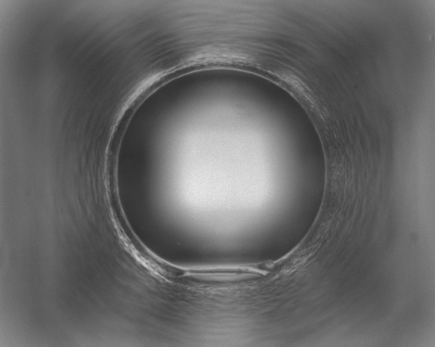 X0000056361038200509091617