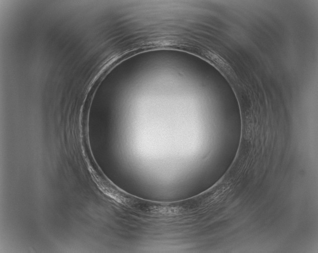 X0000056361039200509091617