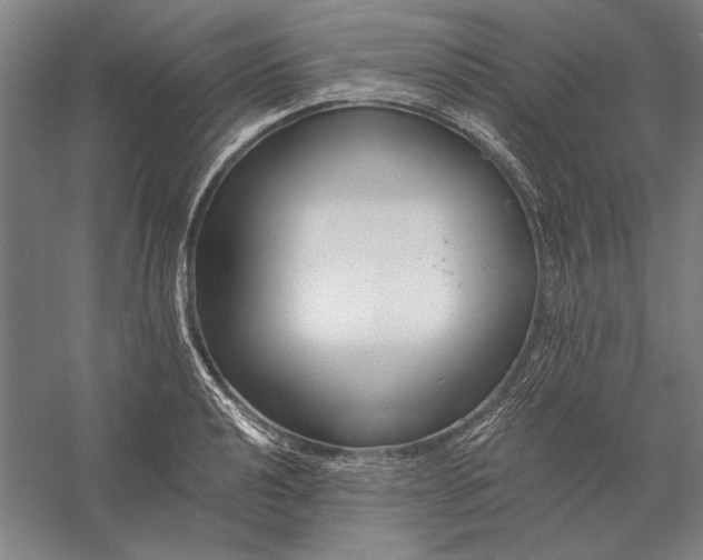 X0000056361040200509091617