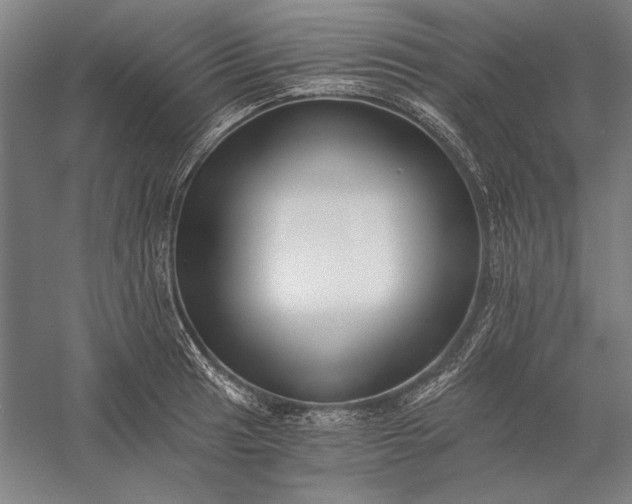 X0000056361041200509091617