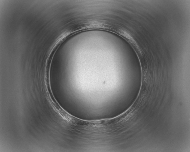 X0000056361043200509091617