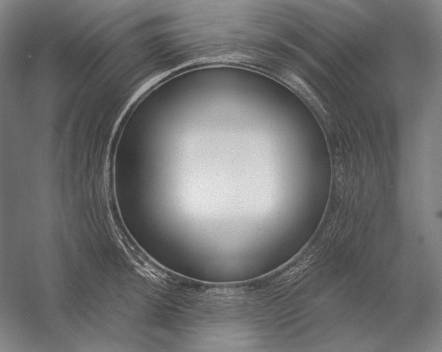 X0000056361044200509091617