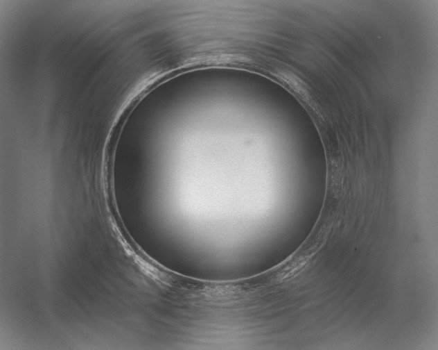 X0000056361046200509091617