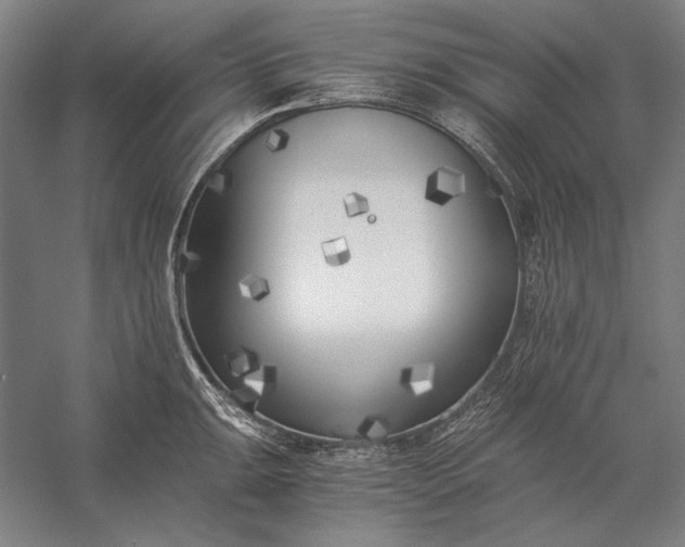 X0000056361047200509091617