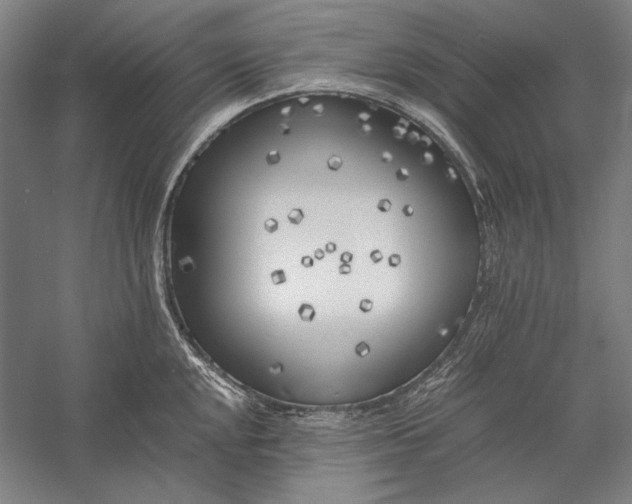 X0000056361048200509091617