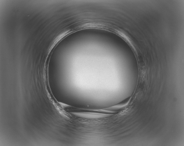 X0000056361050200509091617