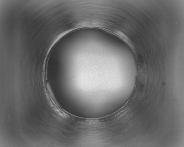 X0000056361052200509091617