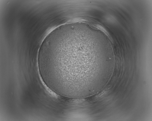 X0000056361055200509091617