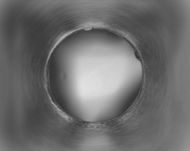 X0000056361056200509091617