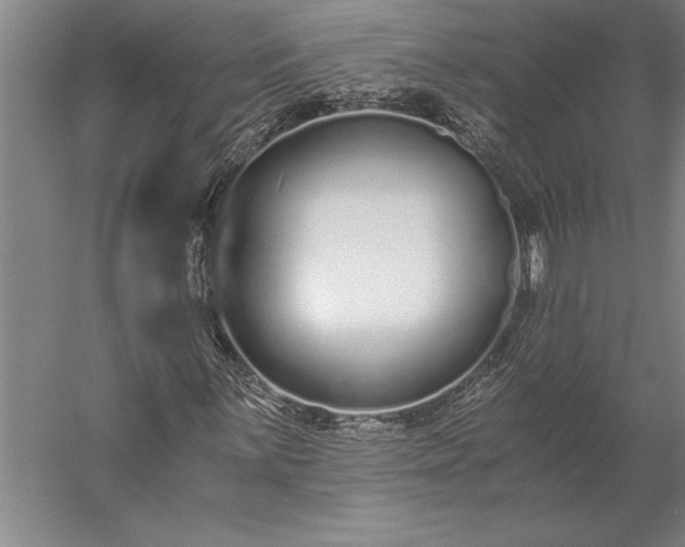 X0000056361059200509091617