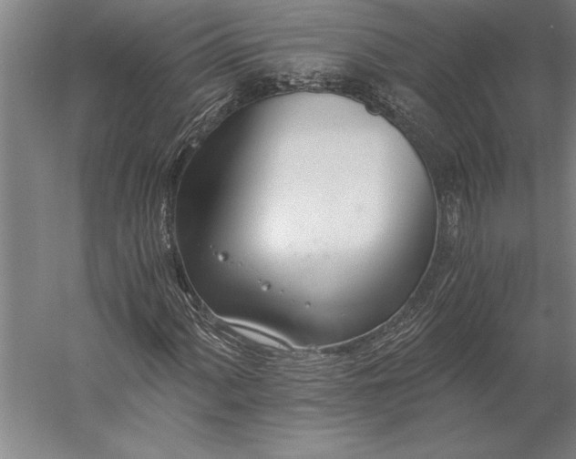 X0000056361060200509091617