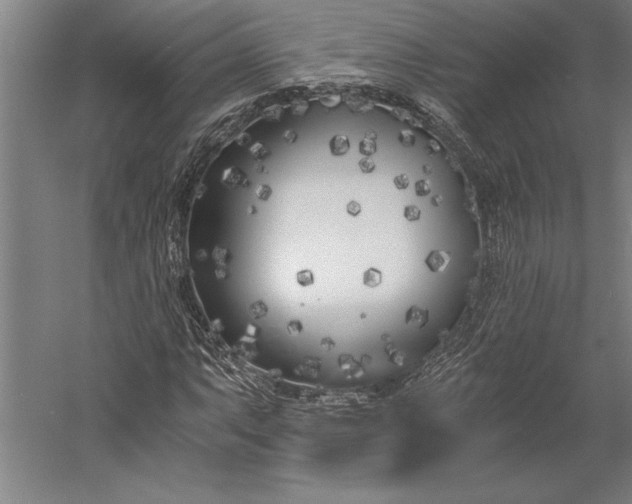 X0000056361063200509091617