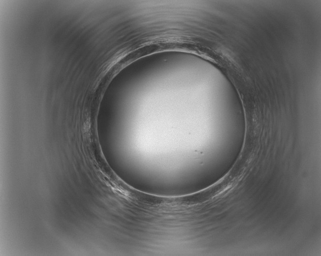 X0000056361065200509091617