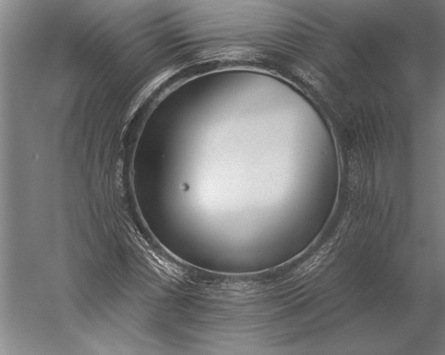 X0000056361066200509091617