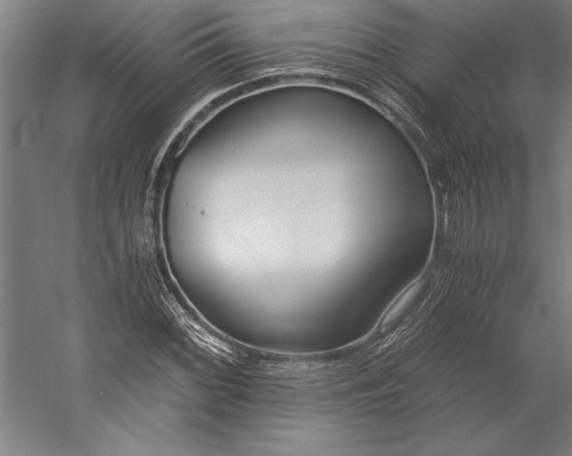 X0000056361068200509091616