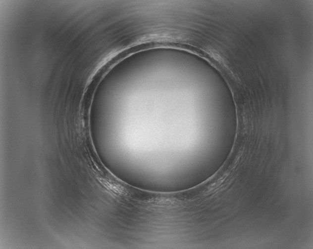 X0000056361070200509091616