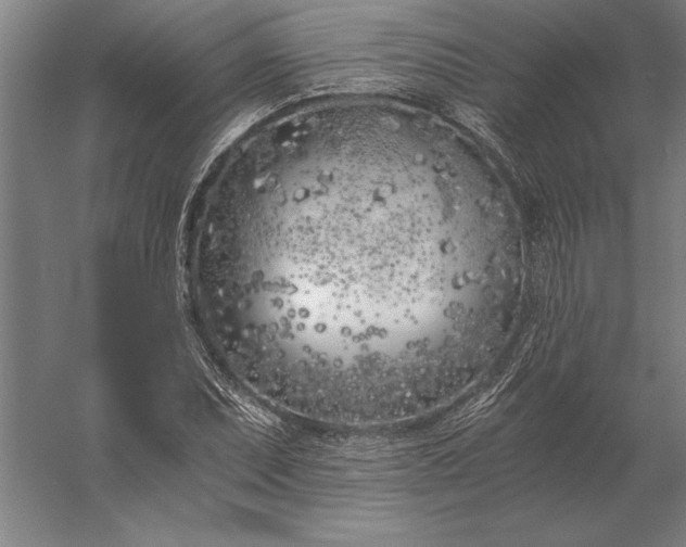 X0000056361071200509091616